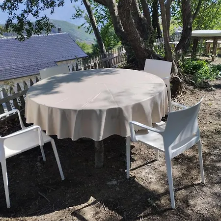 Bujtina Te Mulliri Guri i Bardhe